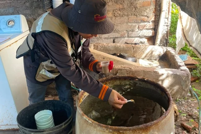 Refuerza Sonora acciones contra el dengue tras paso de ‘Polo’ por el sur del estado
