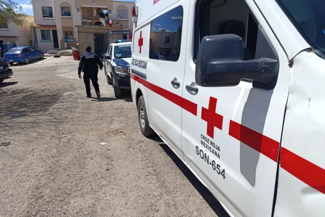 Perro muerde a dos menores en la colonia Lomas de Anza de Nogales