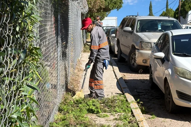 Retiran más de 100 metros cúbicos de maleza y escombro de panteones de Nogales
