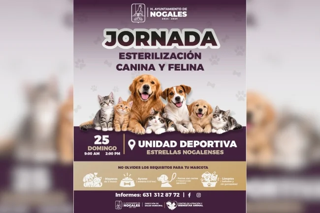 Realizarán jornada de esterilización y vacunación antirrábica este domingo