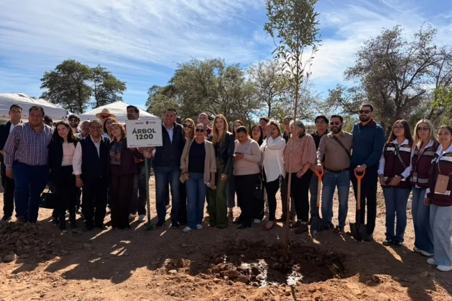 Concluye plantación de mil 200 árboles en el Bosque Urbano La Mesa