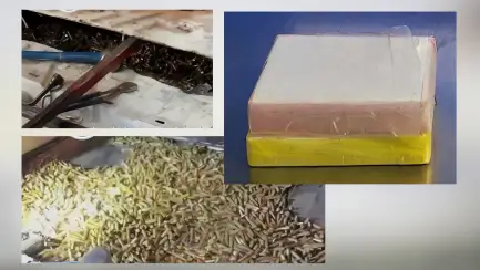 CBP incauta 18 mil cartuchos y 4.5 libras de cocaína en puntos de entrada de Nogales