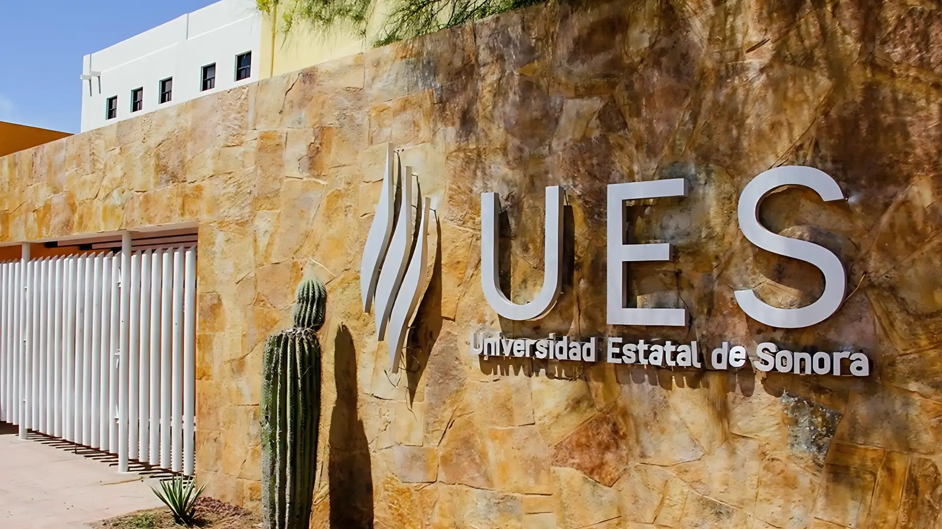 Más de 14 mil estudiantes regresan a clases en la UES
