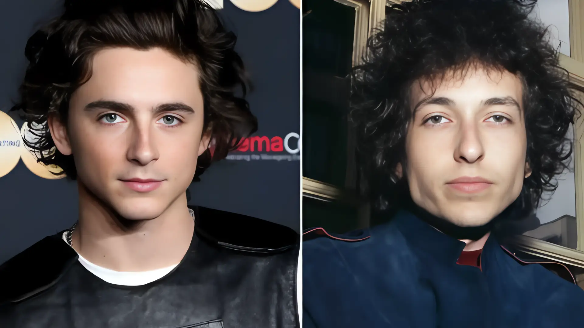 Dylan: Una película de Timothée Chalamet
