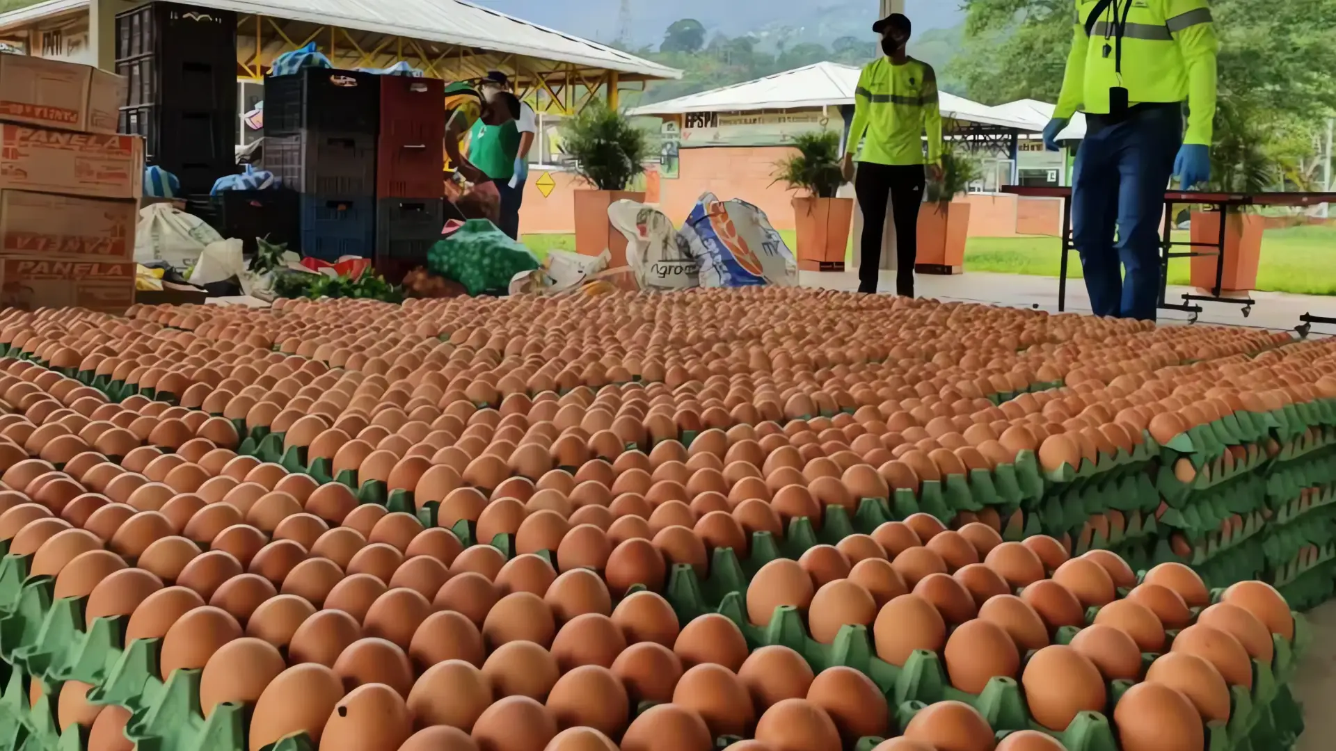 Iglesia de Chicago dona 40,000 huevos ante escasez
