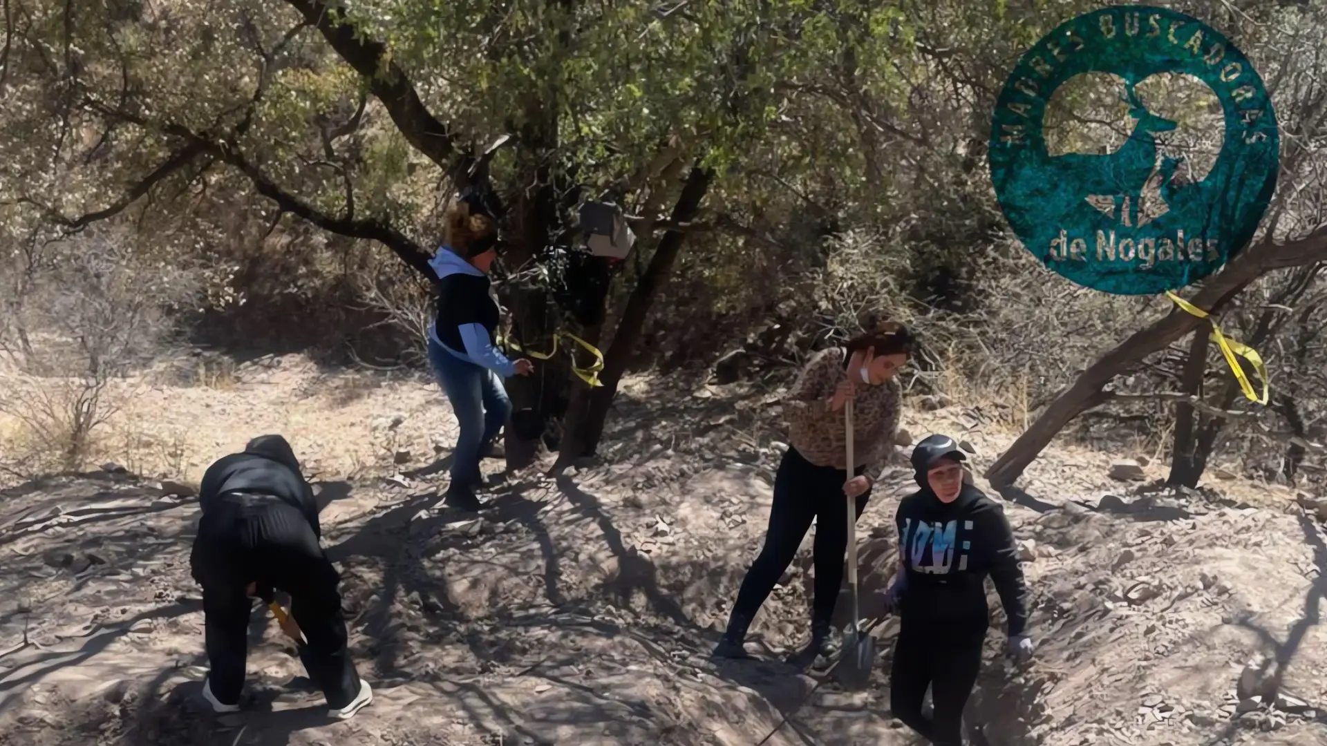 Madres Buscadoras Encuentran Identificaciones en Fosa Clandestina de Nogales
