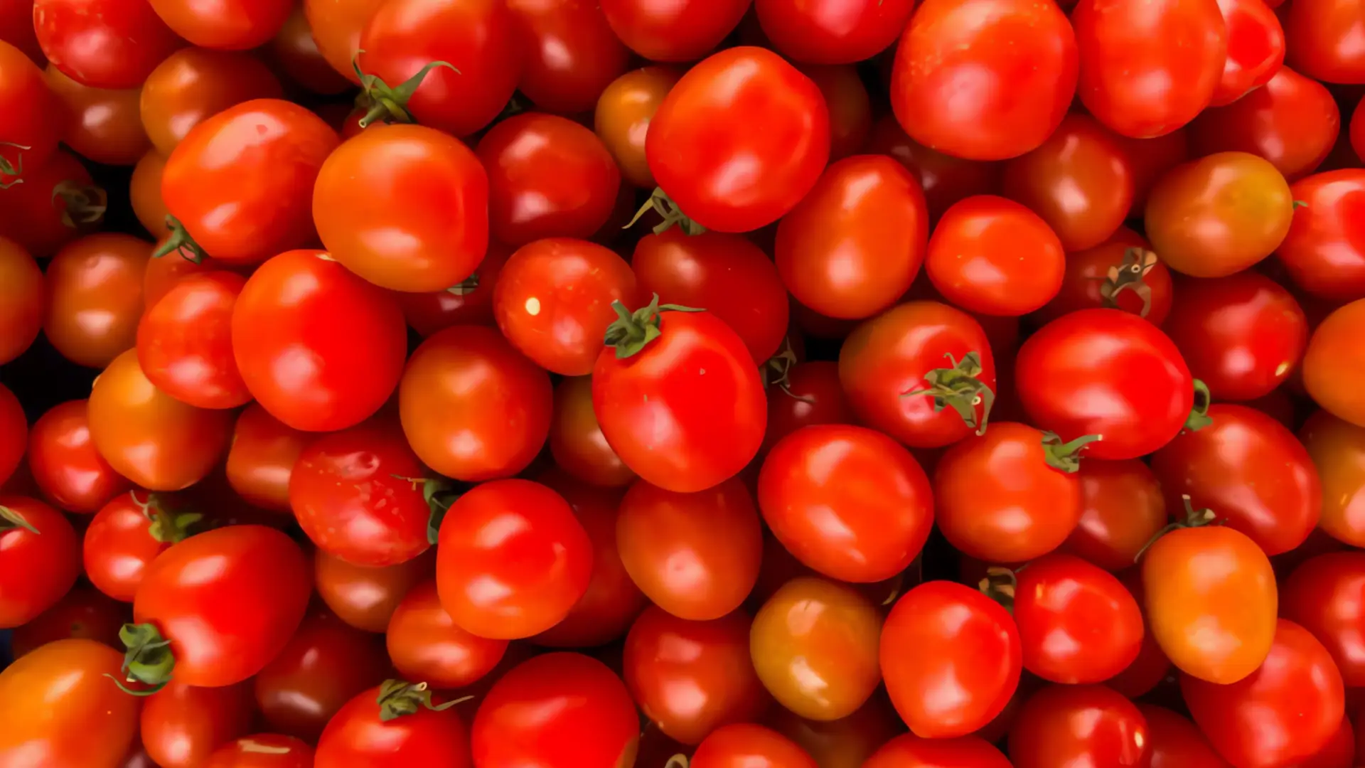 Aranceles de EEUU a tomate mexicano: 20.91%
