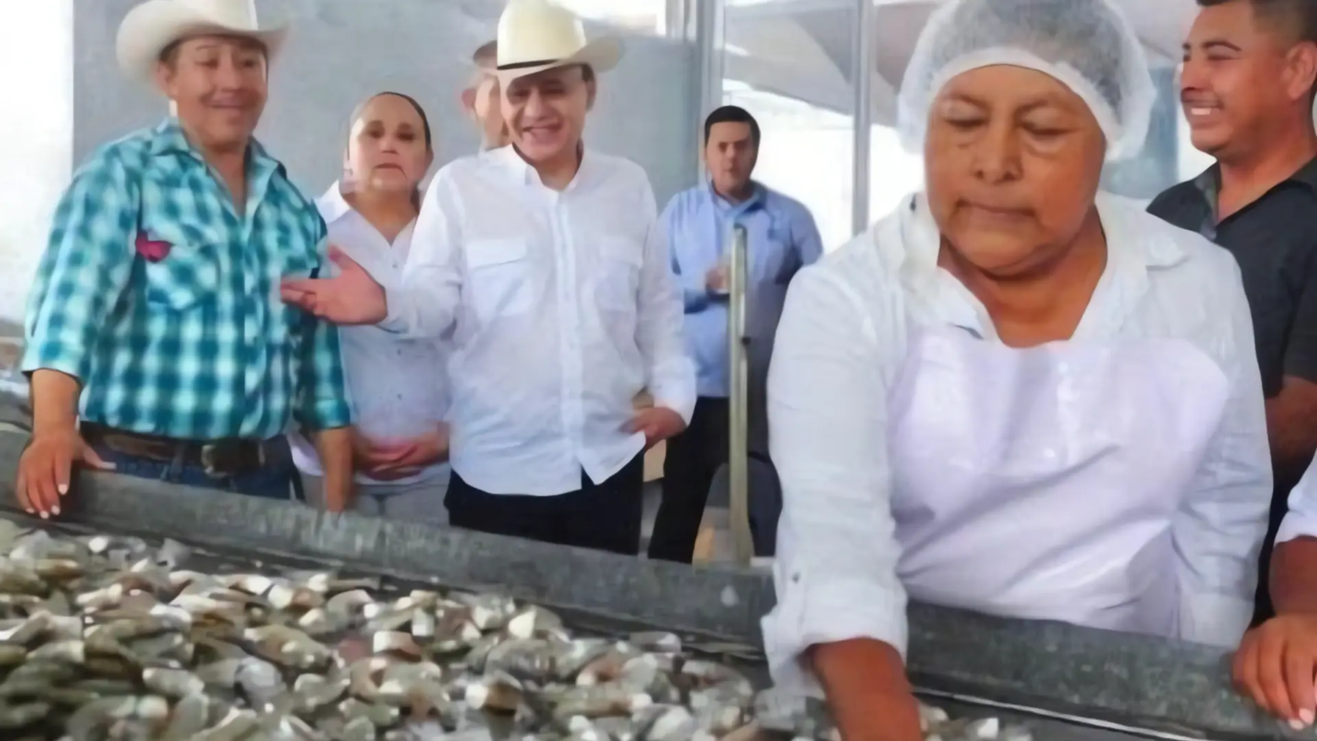 Sonora: El gigante camaronero de México
