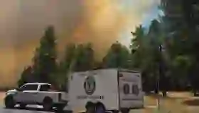 Incendio Greer: Miles evacuados en Arizona ante feroz incendio
