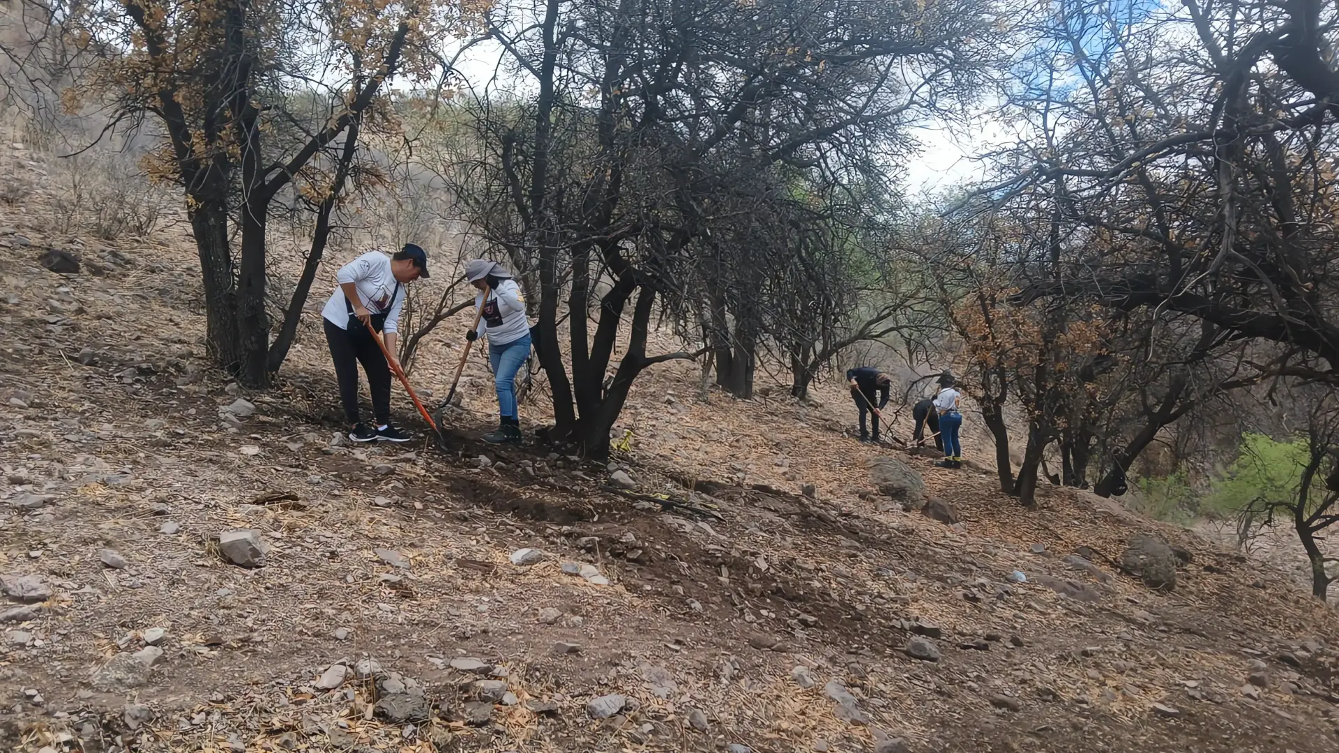 Hallan cuerpo en fosa clandestina en Nogales
