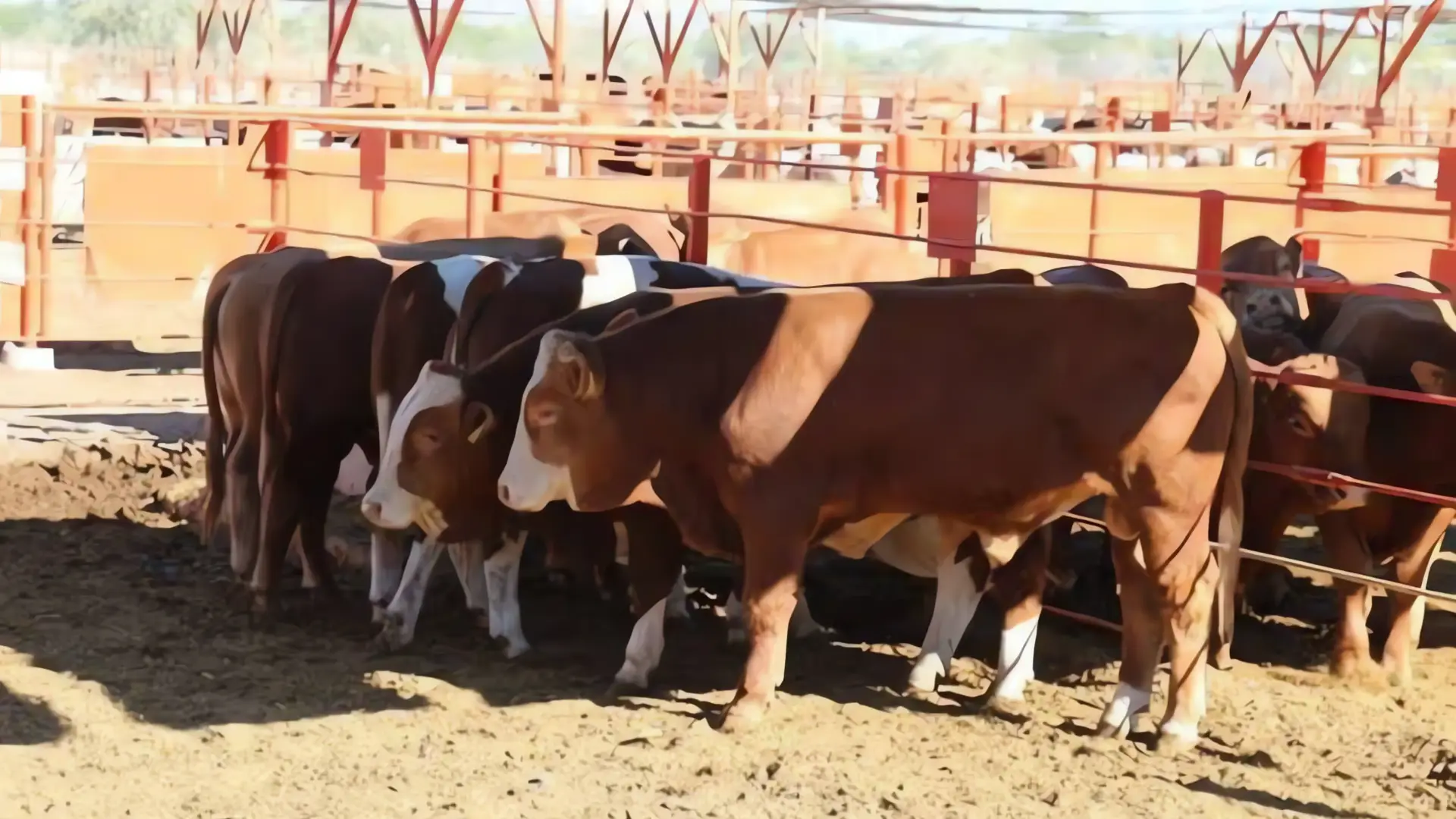 Sonora participa en seminario y simulacro sobre el gusano barrenador
