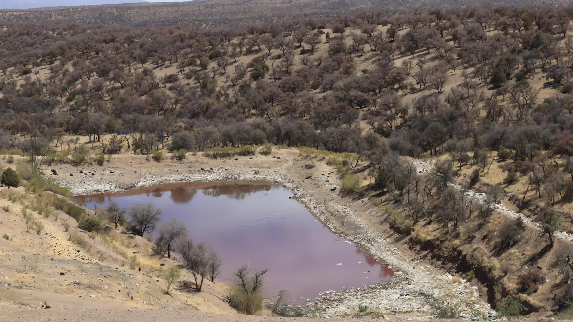 Fideicomiso para la gestión de residuos sólidos
