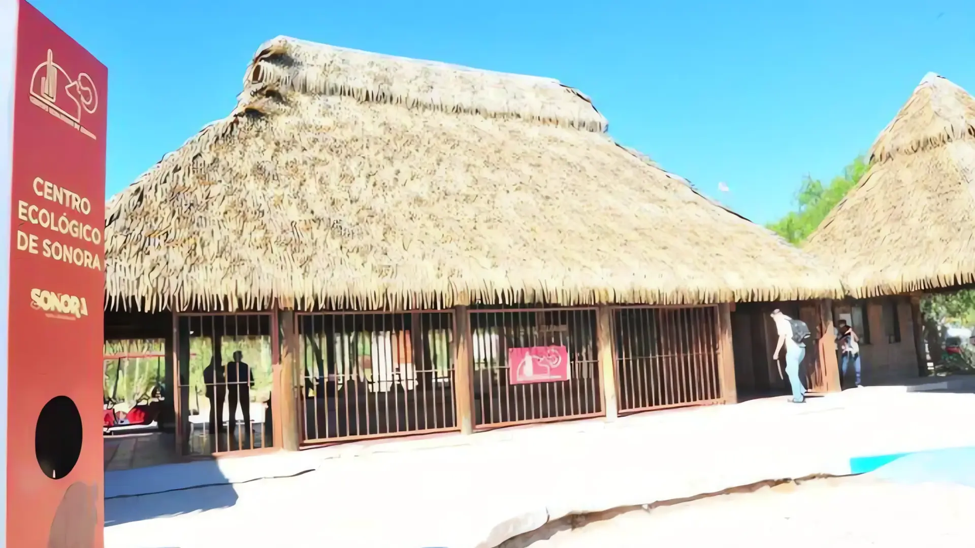 40 Años de Conservación: Celebración Aniversario CES
