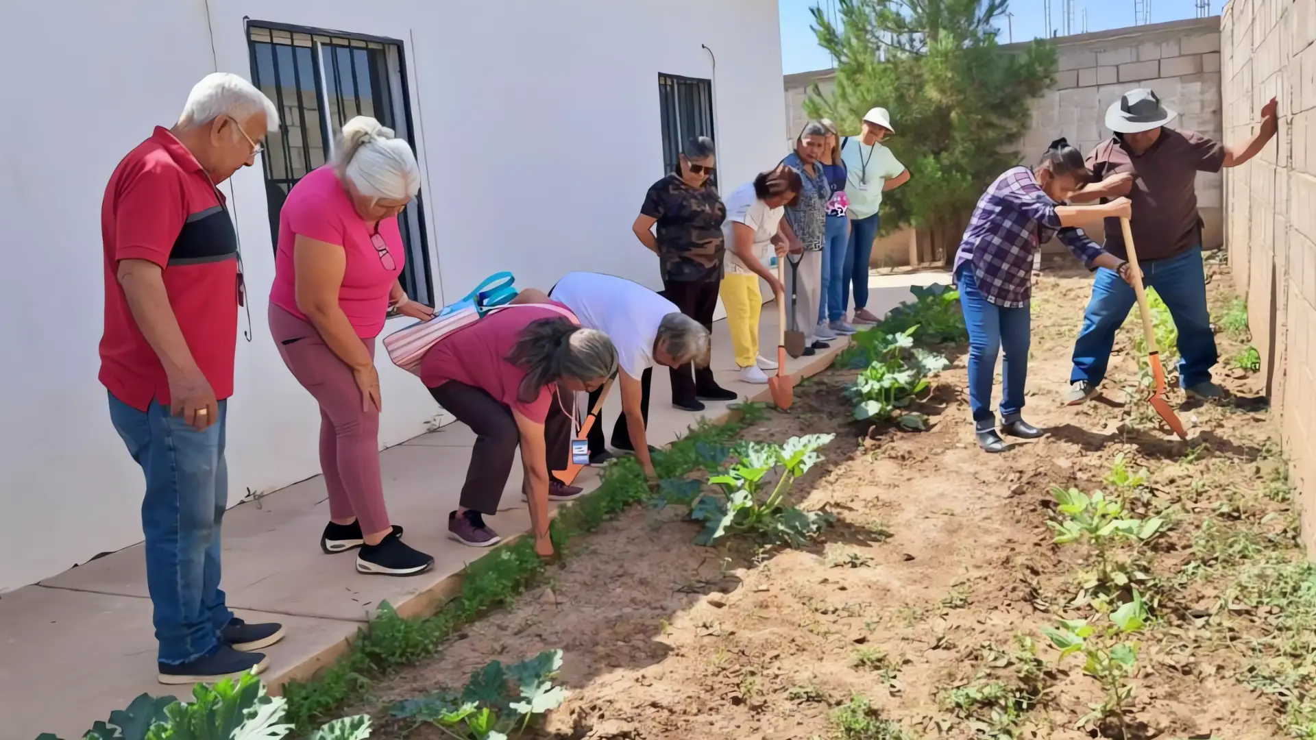 Sonora lanza el padrón de beneficiarios del Programa de Envejecimiento Activo 2025