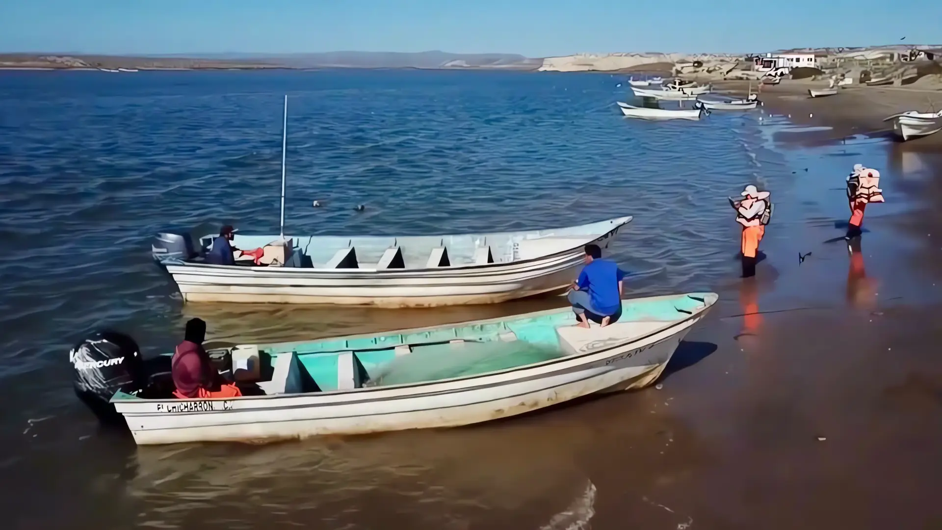 Combate Intensificado contra la Pesca Ilegal de Totoaba y Vaquita Marina
