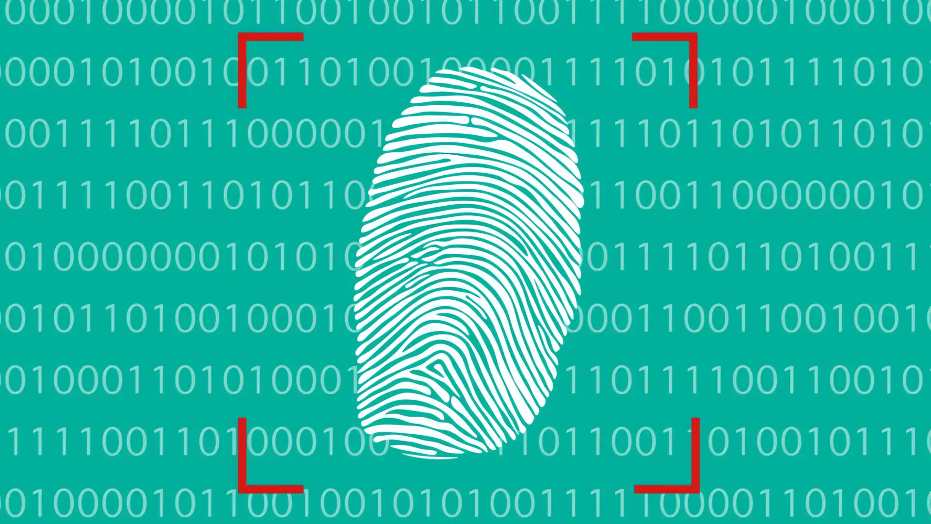 CURP biométrica: Experto alerta sobre riesgos a los derechos humanos
