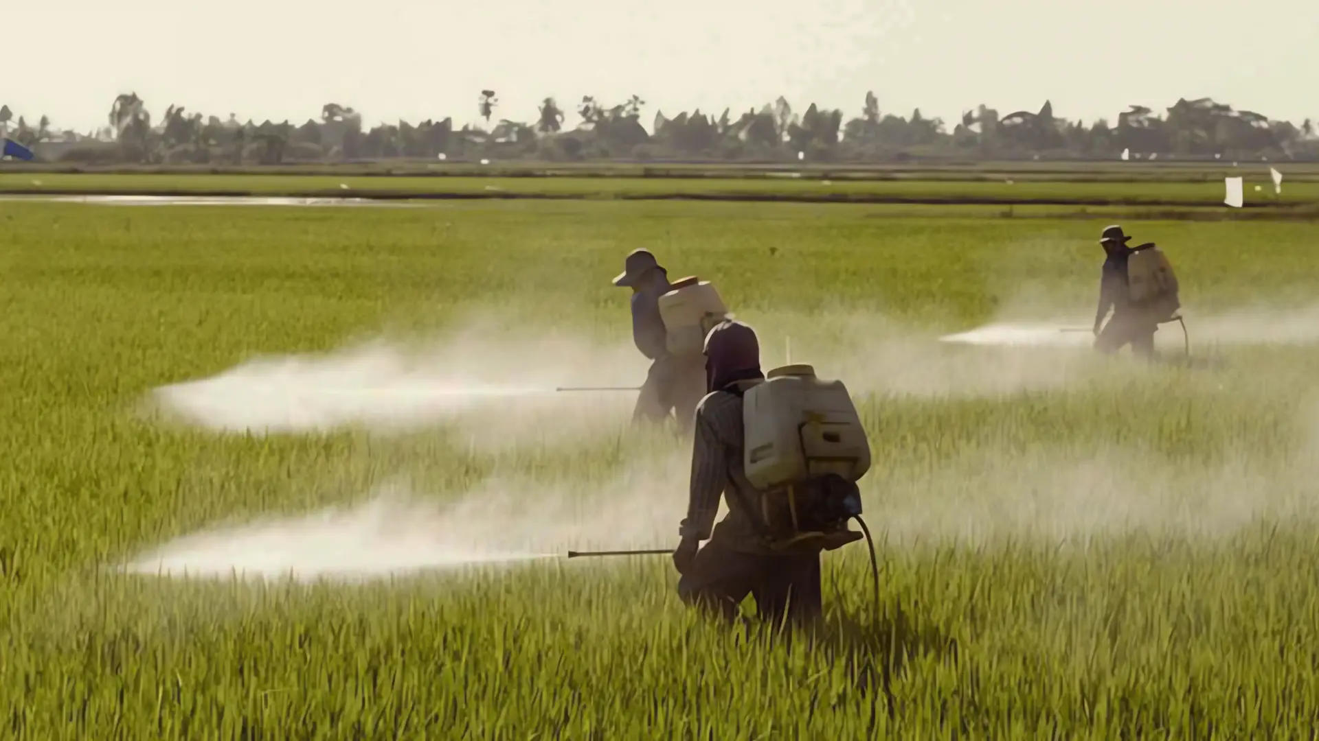 México prohíbe 35 agroquímicos tóxicos: un hito para la agricultura

