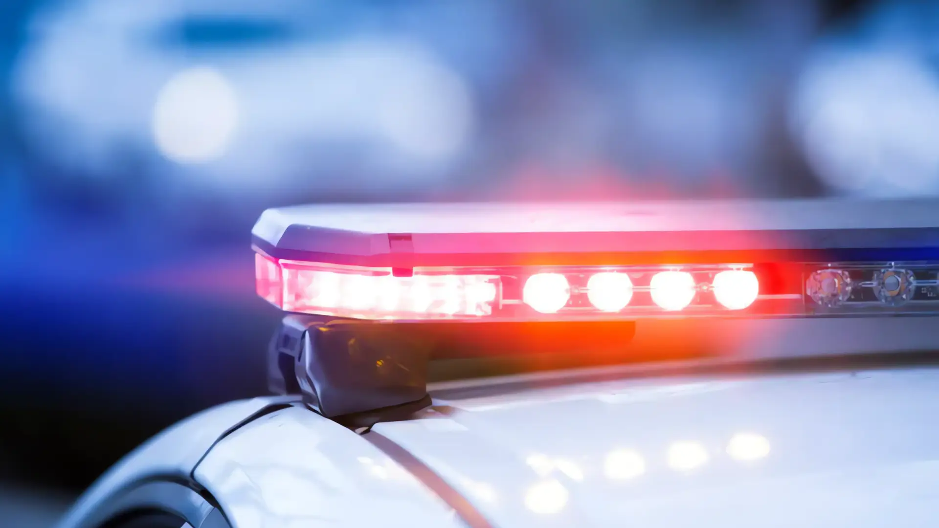 Encuentran sin vida a artistas urbanos colombianos desaparecidos en México