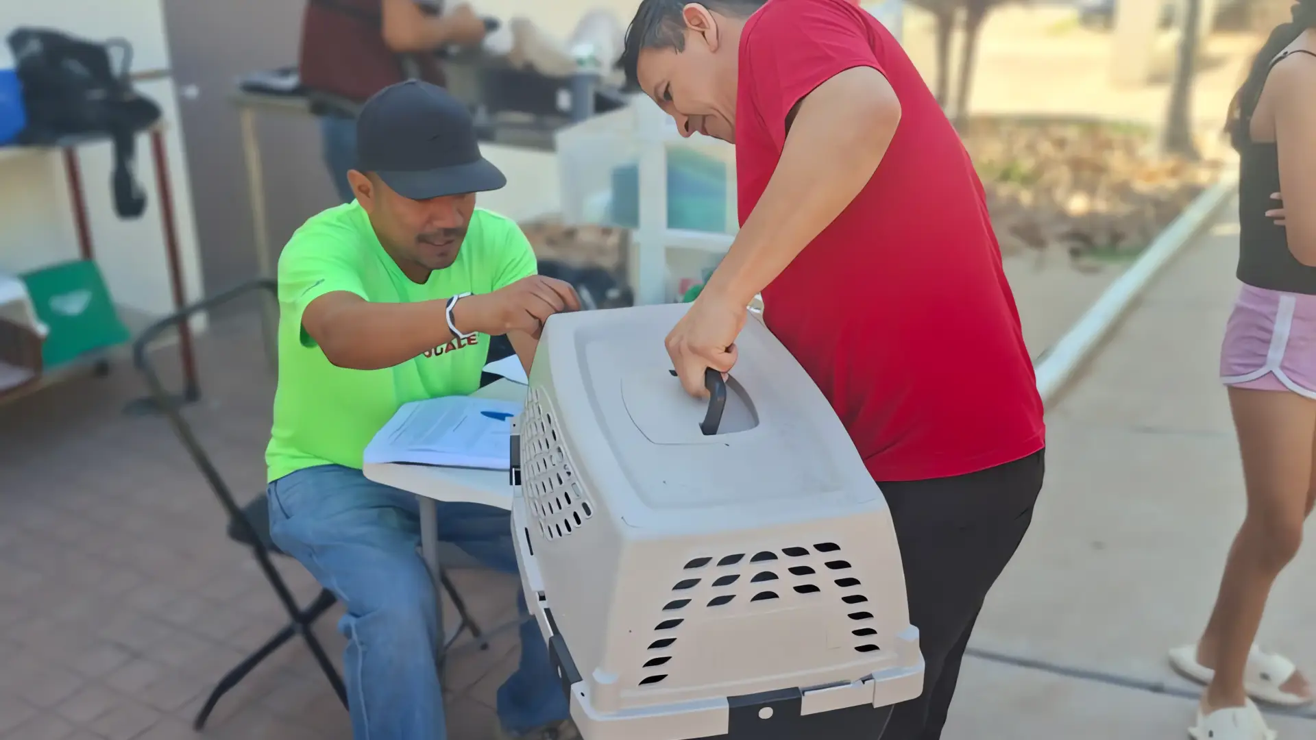 Alerta por jaurías: Nogales aplicará de manera estricta reglamento de protección animal