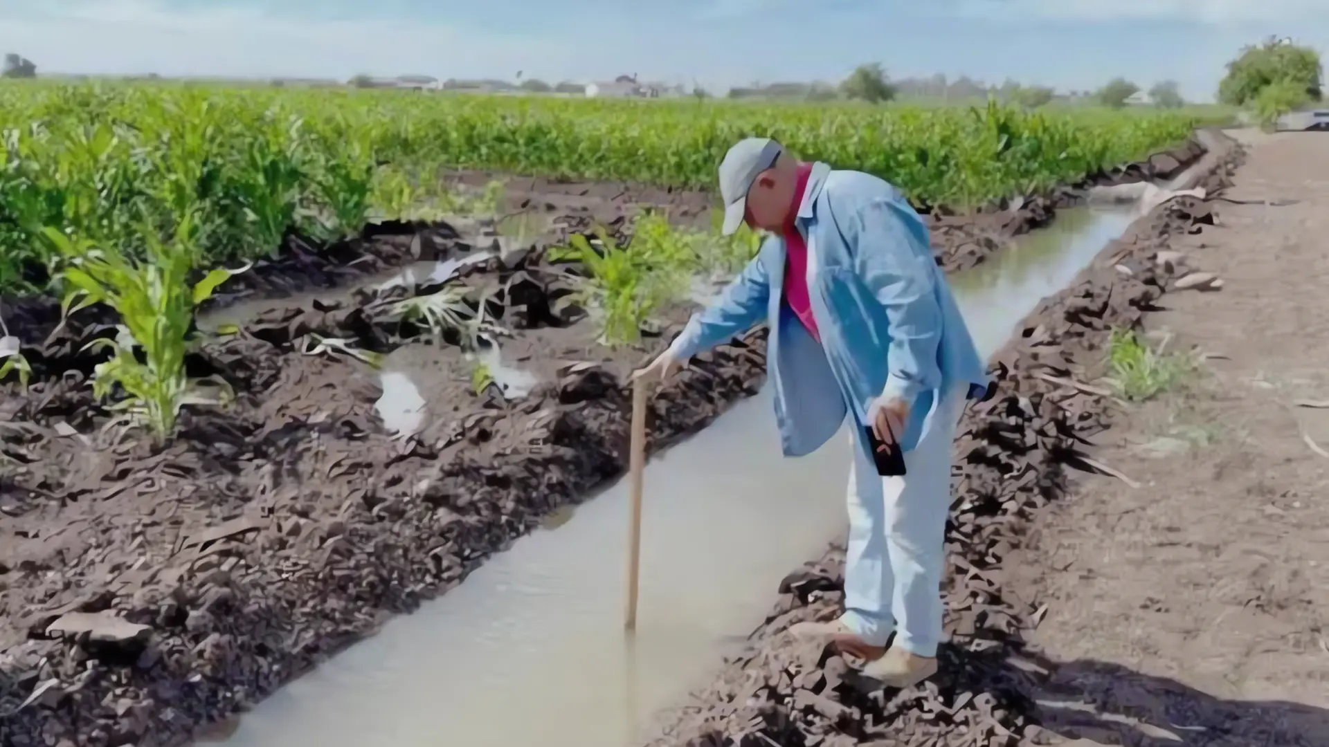 Abren inscripción al Programa Especial de Energía Eléctrica para el Campo en Sonora