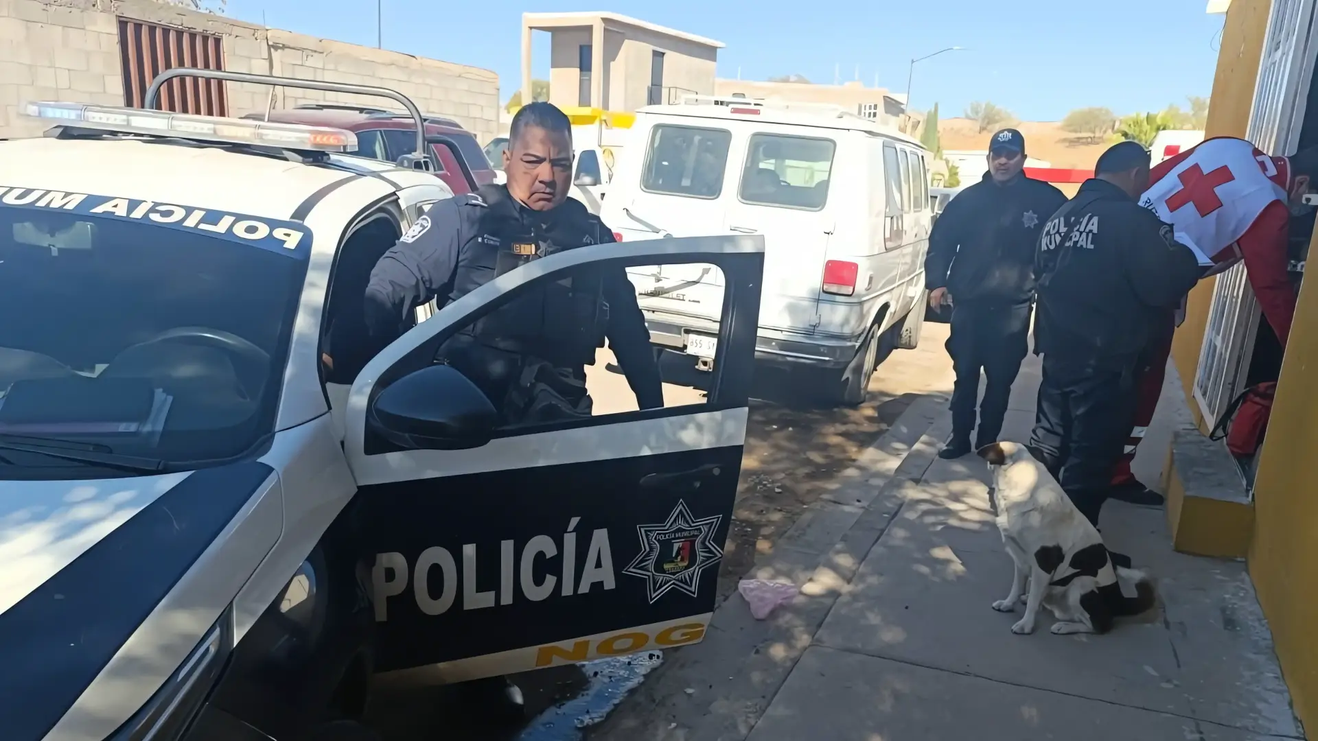 Adolescente arrestado por agredir y encerrar a su madre en Puertas del Sol