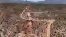 Gobernador inspecciona avance de carretera Bavispe-Nuevo Casas Grandes
