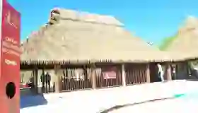 40 Años de Conservación: Celebración Aniversario CES
