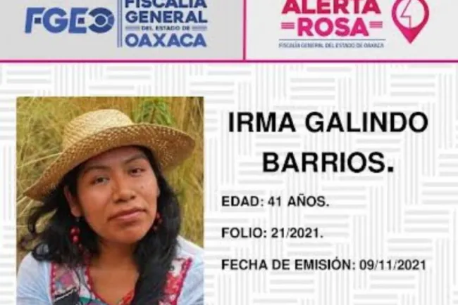 Emiten Alerta Rosa para localizar a la activista Irma Galindo