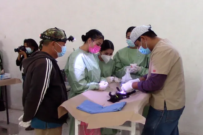 Realizan exitosa campaña de esterilización en Nogales