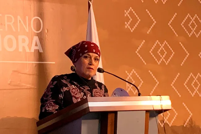 Digitalizarán libros de la historia de Sonora