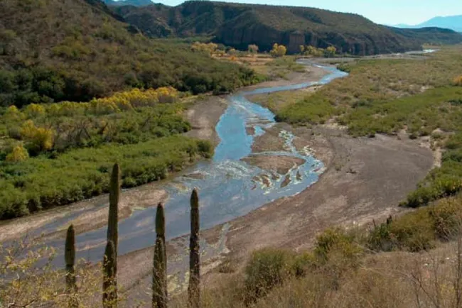 Exigen se monitoree aire