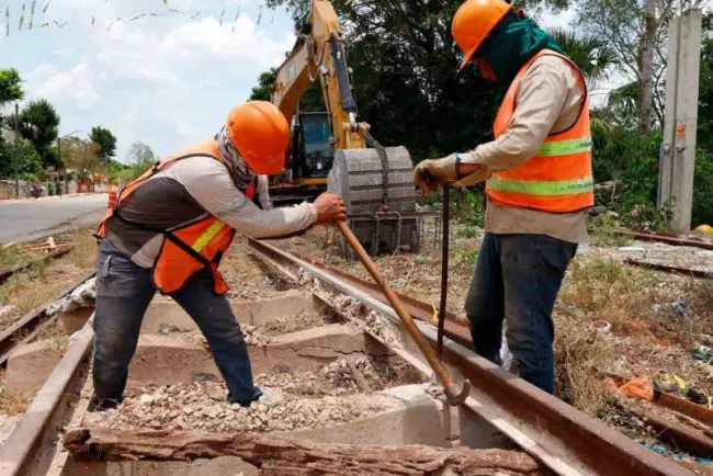 Piden ambientalistas derogar Acuerdo que busca agilizar obras del gobierno