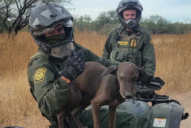 Realiza Patrulla Fronteriza varias acciones en Arizona