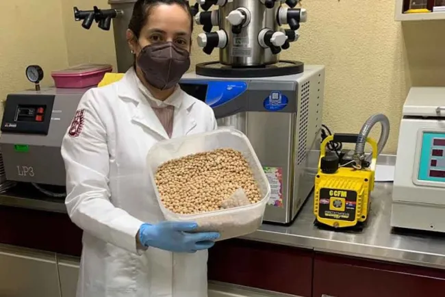 Investiga IPN beneficios de las propiedades del garbanzo contra cáncer de colon