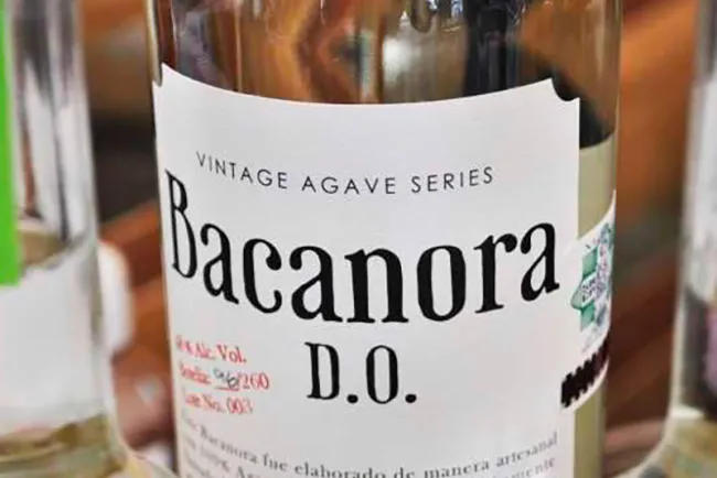 Invitan a regularizar producción del bacanora