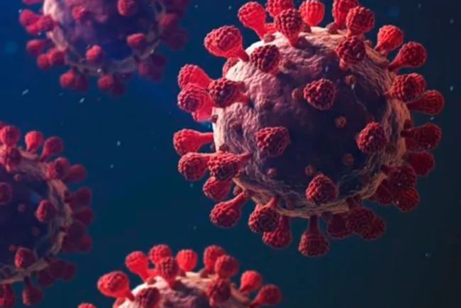 Reporta Salud mil casos de Covid en 48 horas