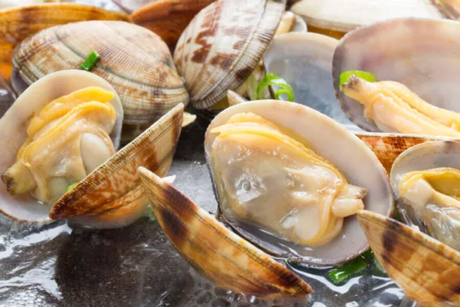 Alerta por veda de moluscos bivalvos en Caborca y Peñasco