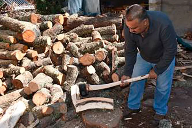 Sancionarán con 80 mil pesos a vendedores de leña sin permiso