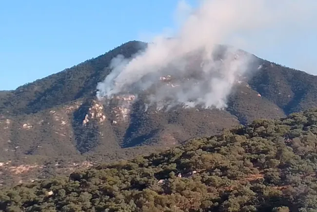 Afecta incendio forestal sierra alta de Aconchi