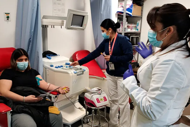 Disminuyen donaciones de sangre al 50%