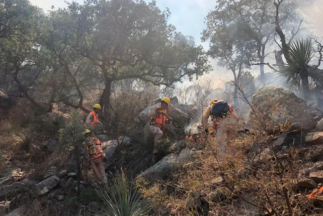 Controlan incendio forestal de Aconchi