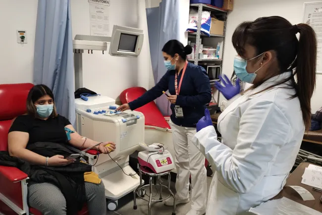 Disminuyen
donaciones de sangre al 50 por ciento