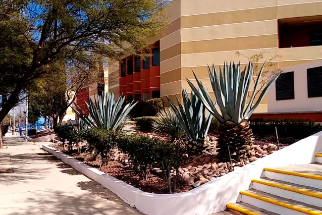 Regresa Unison Nogales a clases presenciales híbridas