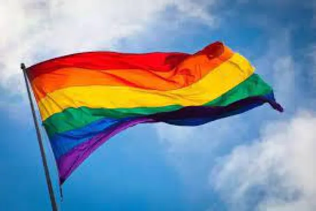 Aplica Inegi primera encuesta sobre diversidad sexual y de género