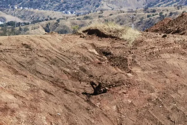 Denuncian deforestación por construcciones