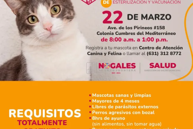 Anuncian nueva campaña de esterilización 