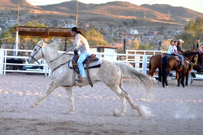 Convocan al Torneo Regional de Rodeo en Nogales