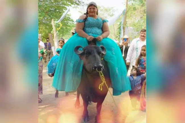 ¡Llega quinceañera montada en búfalo a su fiesta… y las redes estallan!