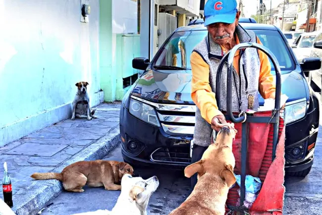 Alimenta a sus amigos de cuatro patas