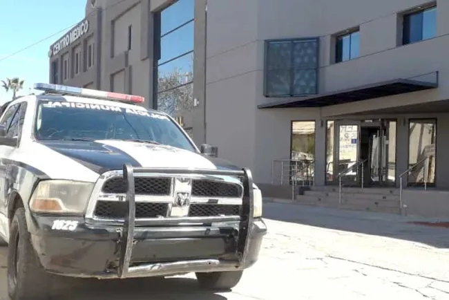 Atacan perros a mujer; la muerden en una pierna